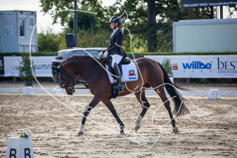 bouferterhaff-jumping-64-standard-qgxja7.jpg