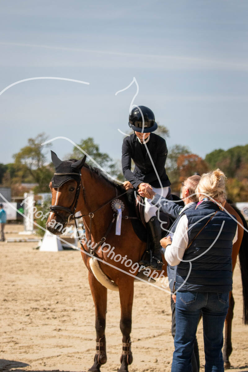 bouferterhaff-jumping-64-standard-vh3x5l.jpg
