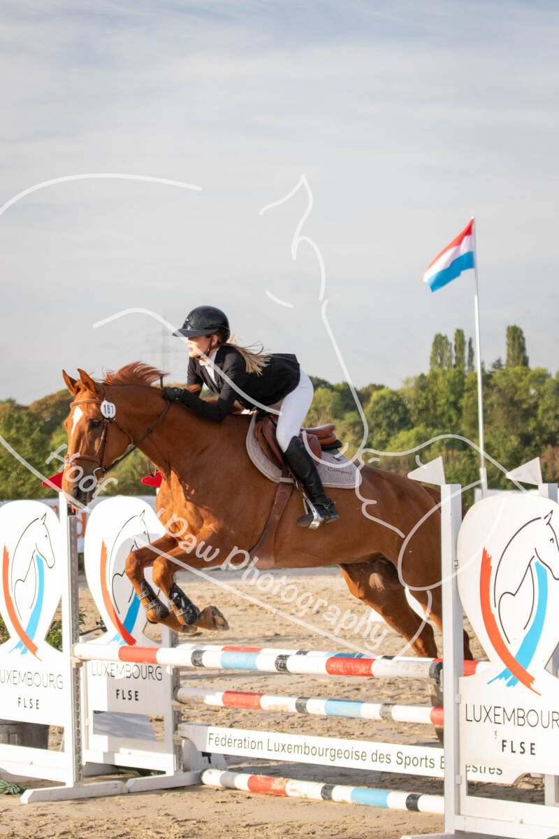 bouferterhaff-jumping-64-standard-wf11qo.jpg