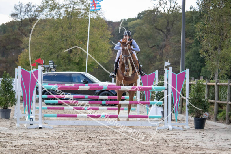 bouferterhaff-jumping-64-standard-ytrk6p.jpg