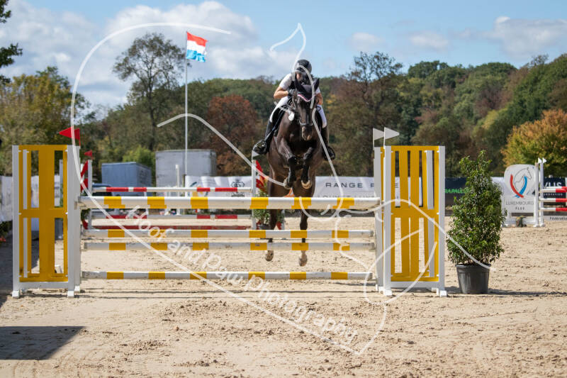 bouferterhaff-jumping-64-standard.jpg