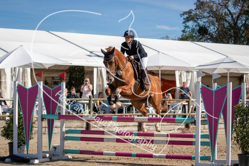 bouferterhaff-jumping-65-standard-3le43r.jpg