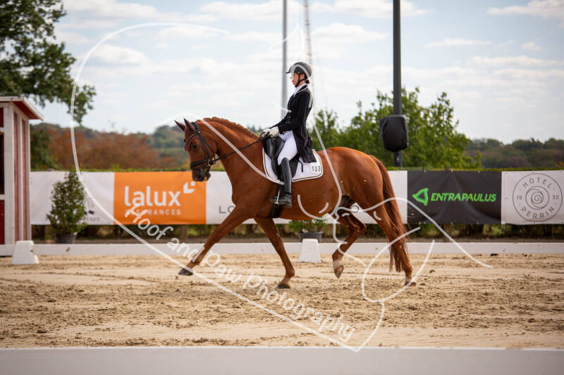 bouferterhaff-jumping-65-standard-djip0q.jpg