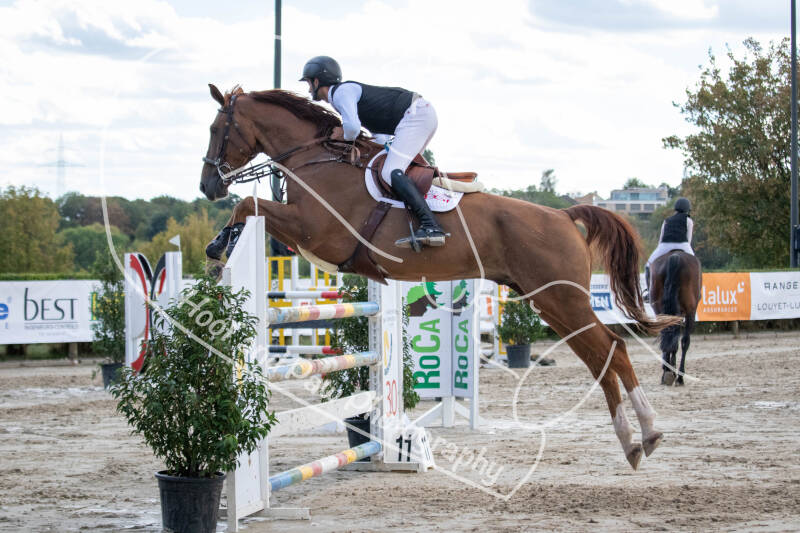 bouferterhaff-jumping-65-standard-qe5t6u.jpg