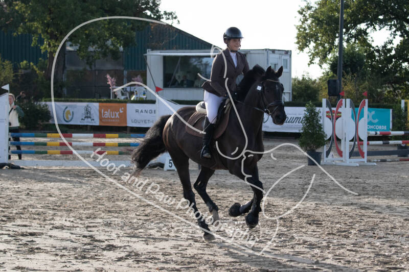 bouferterhaff-jumping-65-standard-rqawj7.jpg