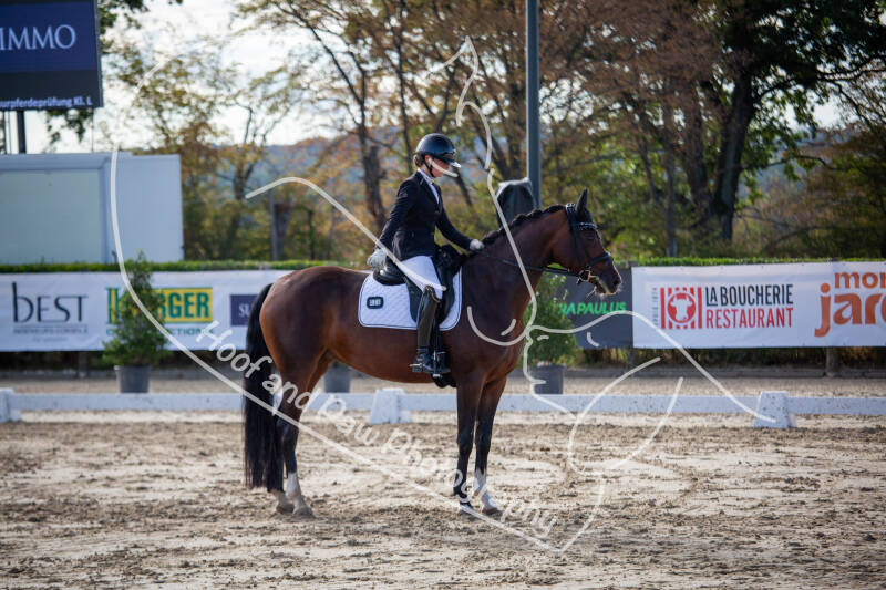bouferterhaff-jumping-65-standard-s16is1.jpg