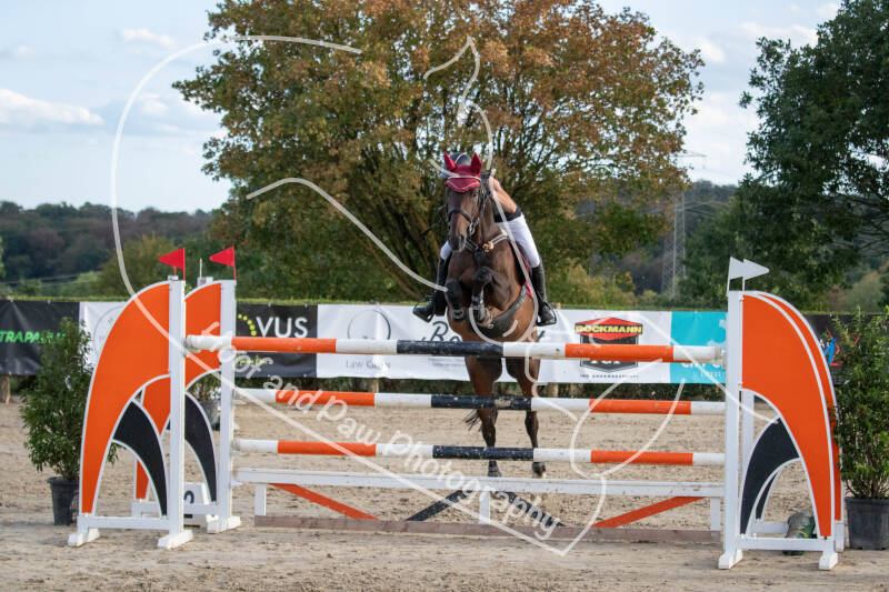bouferterhaff-jumping-65-standard-y59gpp.jpg