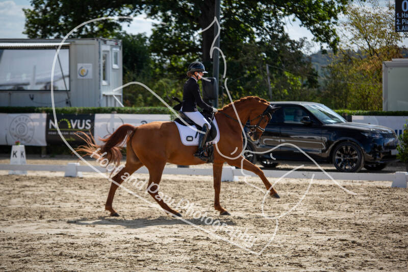 bouferterhaff-jumping-65-standard-yboqp3.jpg