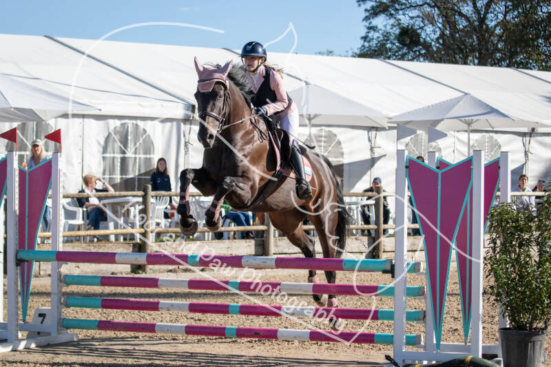 bouferterhaff-jumping-65-standard-zvddgu.jpg