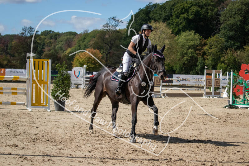 bouferterhaff-jumping-65-standard.jpg