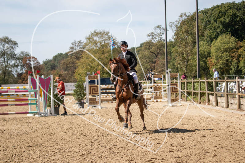 bouferterhaff-jumping-66-standard-9w37pj.jpg