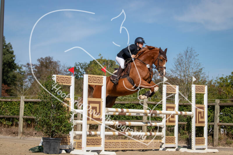 bouferterhaff-jumping-66-standard-c1oisf.jpg