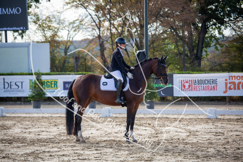 bouferterhaff-jumping-66-standard-cv3hm9.jpg