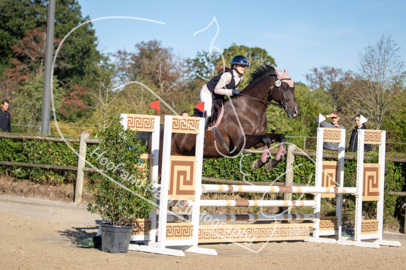 bouferterhaff-jumping-66-standard-g14v9v.jpg