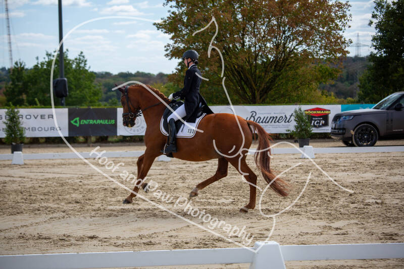 bouferterhaff-jumping-66-standard-ie4qae.jpg