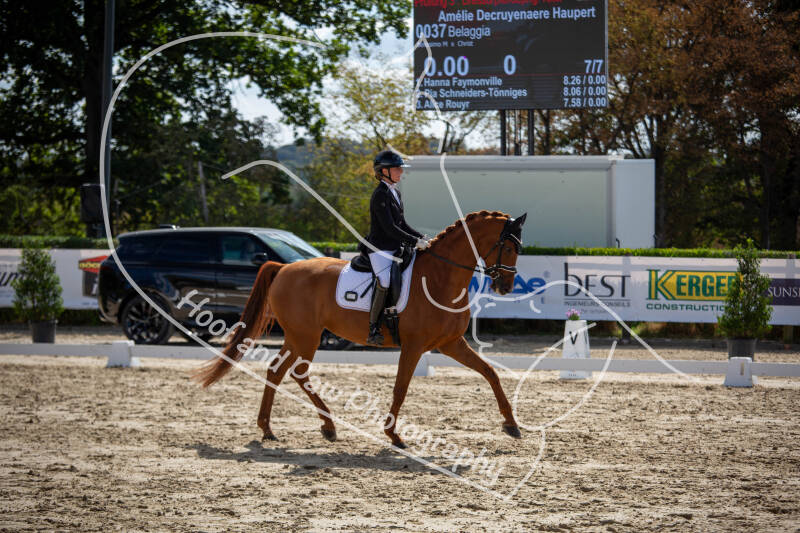 bouferterhaff-jumping-66-standard-iqpwq3.jpg