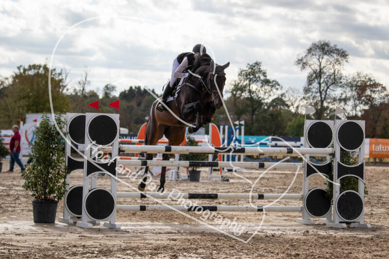 bouferterhaff-jumping-66-standard-iz62d9.jpg