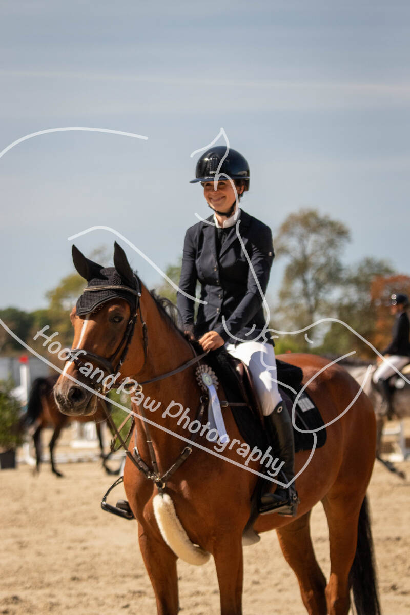 bouferterhaff-jumping-66-standard-lpz6fo.jpg