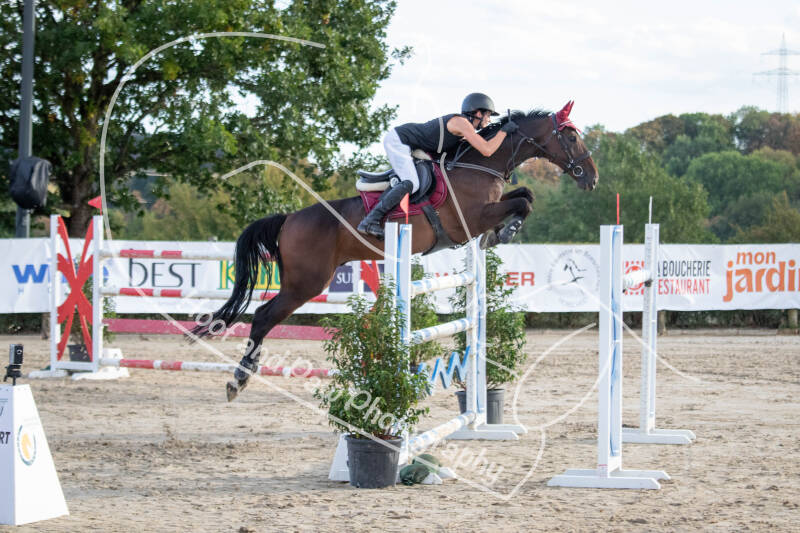 bouferterhaff-jumping-66-standard-pu5pxd.jpg