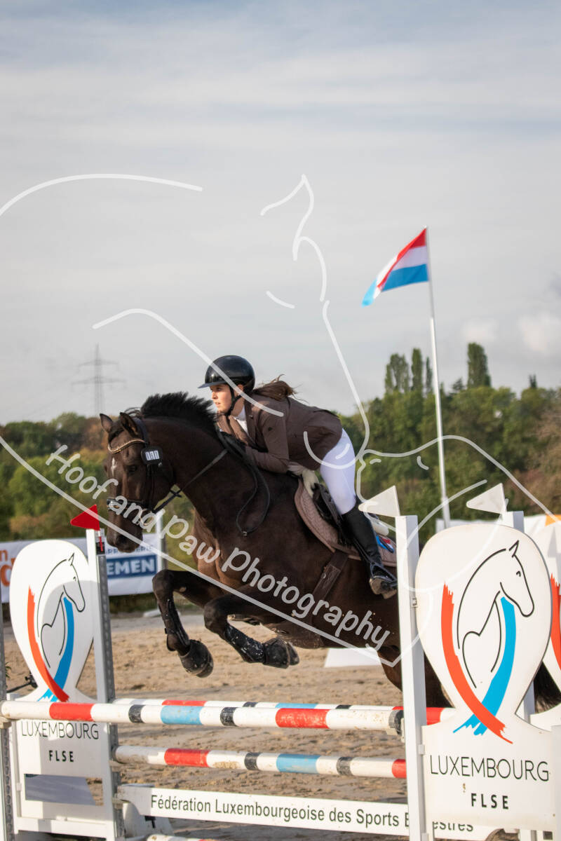bouferterhaff-jumping-66-standard-riiyr0.jpg