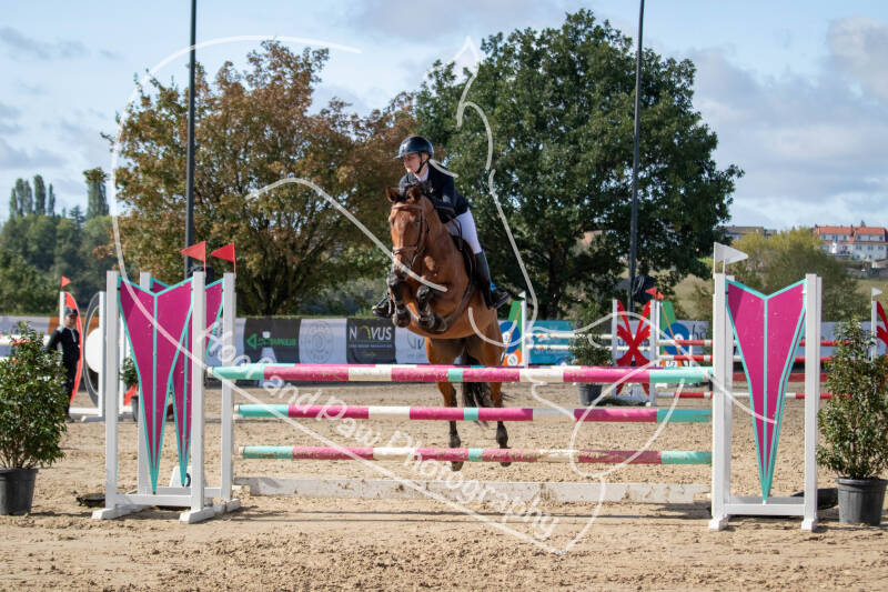 bouferterhaff-jumping-66-standard-vcqh6z.jpg