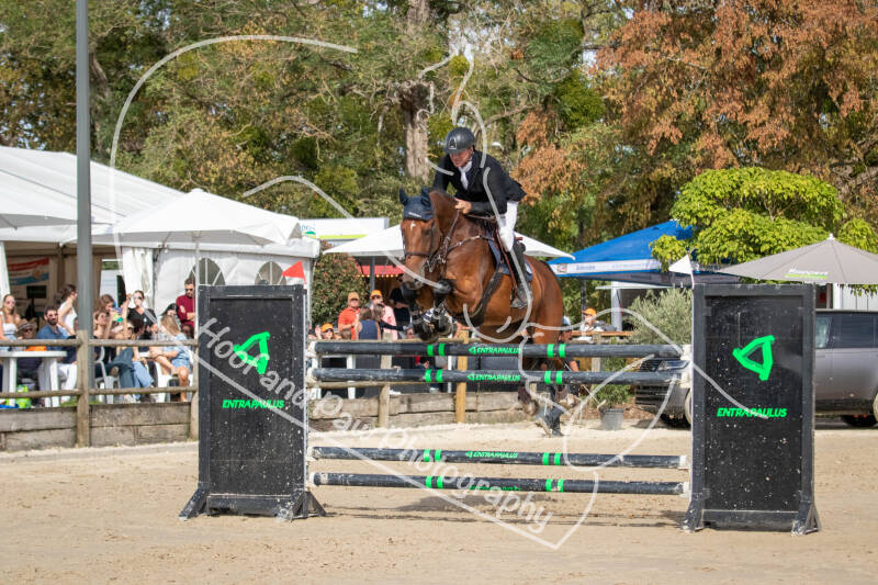 bouferterhaff-jumping-67-standard-4313db.jpg