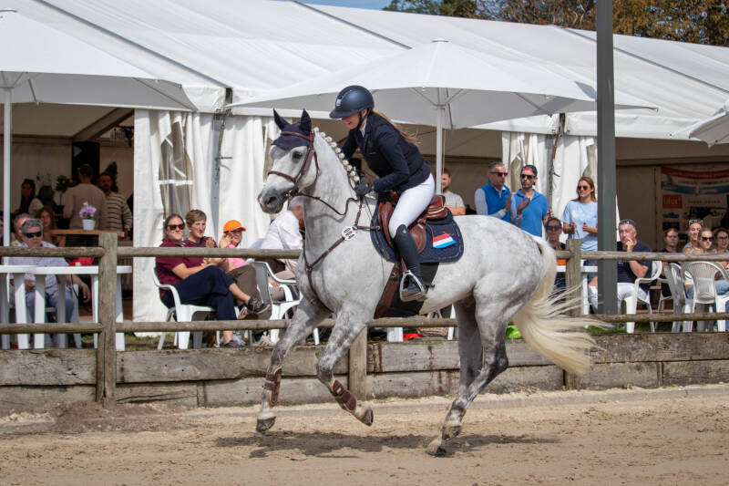 bouferterhaff-jumping-67-standard-6k09ws.jpg