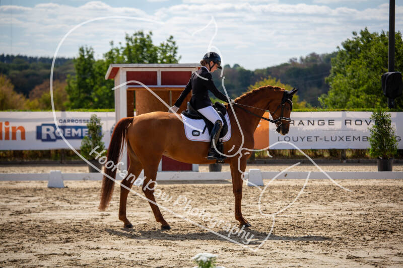 bouferterhaff-jumping-67-standard-ojy3f9.jpg
