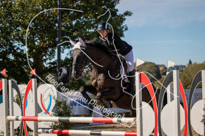 bouferterhaff-jumping-67-standard-uvu6aj.jpg