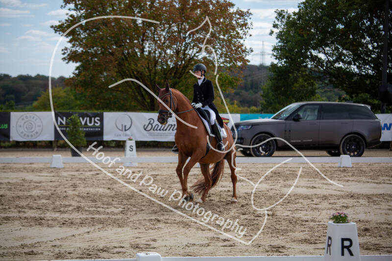 bouferterhaff-jumping-67-standard-zsc6pp.jpg