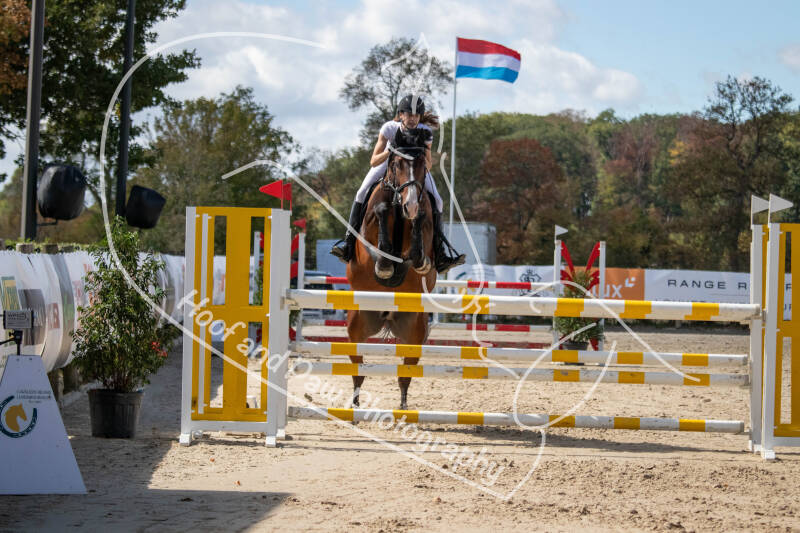 bouferterhaff-jumping-67-standard.jpg