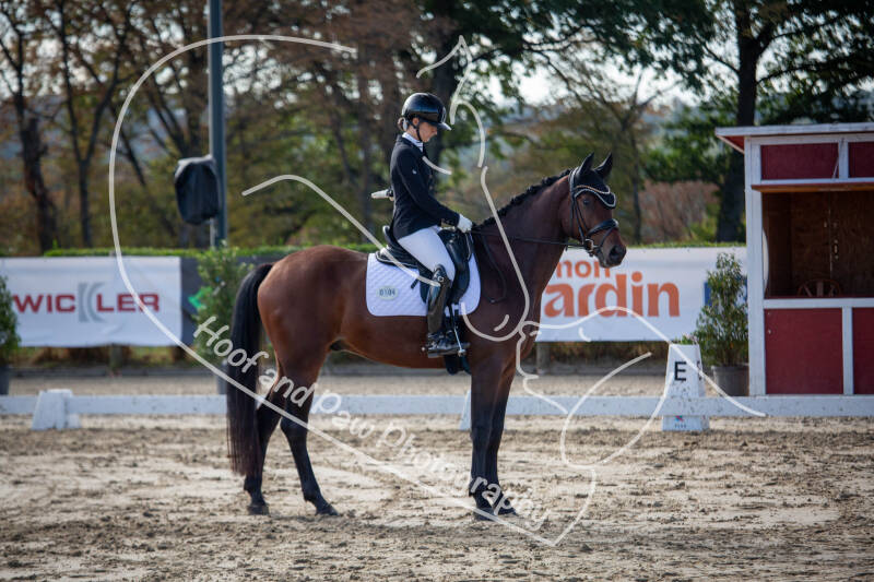 bouferterhaff-jumping-68-standard-jclgtt.jpg