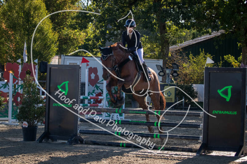 bouferterhaff-jumping-68-standard-rq0ulj.jpg