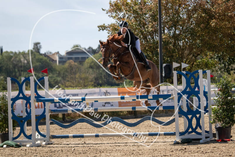 bouferterhaff-jumping-68-standard-u3fp3w.jpg