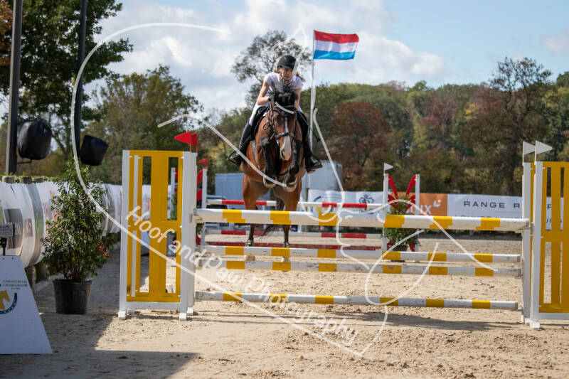 bouferterhaff-jumping-68-standard.jpg