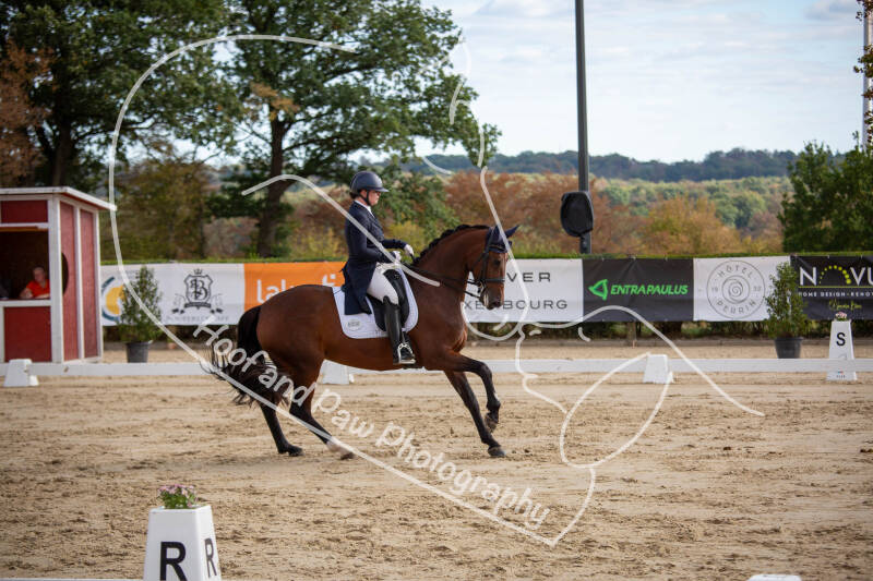 bouferterhaff-jumping-69-standard-g6vh9s.jpg