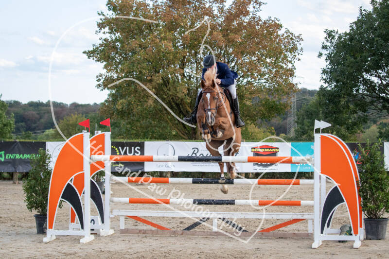 bouferterhaff-jumping-69-standard-o514ph.jpg