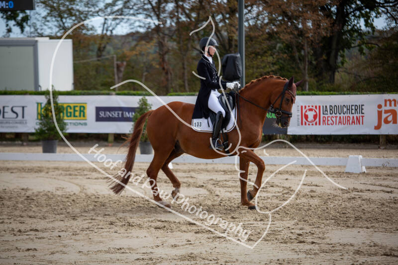 bouferterhaff-jumping-69-standard-p4ls0x.jpg