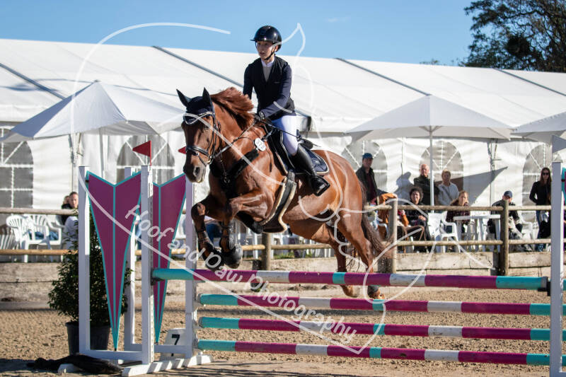 bouferterhaff-jumping-69-standard-x9zzj1.jpg