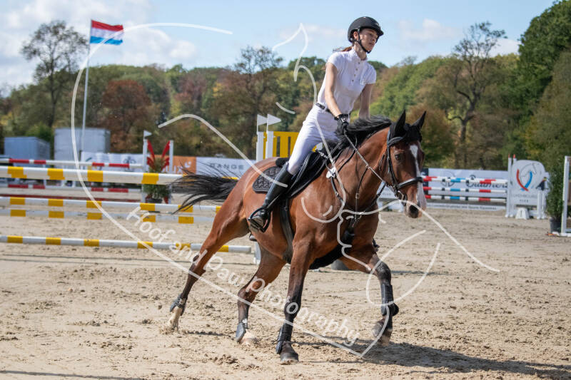bouferterhaff-jumping-69-standard.jpg