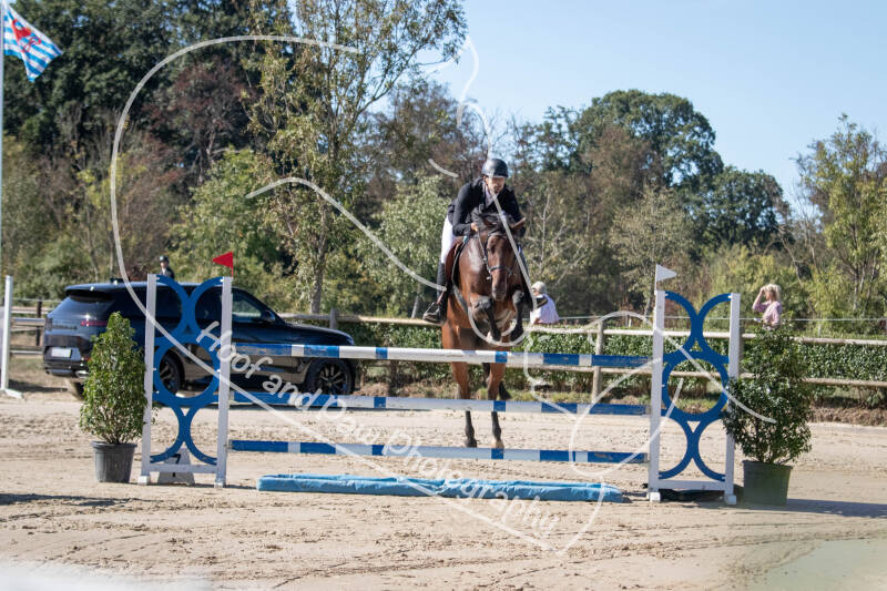 bouferterhaff-jumping-7-standard-304umq.jpg