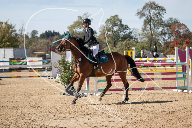 bouferterhaff-jumping-7-standard-458ug3.jpg