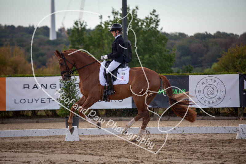 bouferterhaff-jumping-7-standard-6o5w0k.jpg