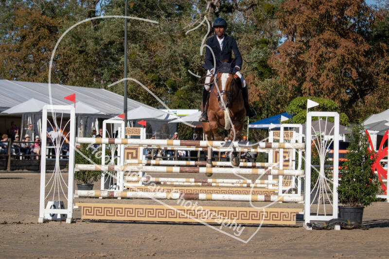 bouferterhaff-jumping-7-standard-77024g.jpg
