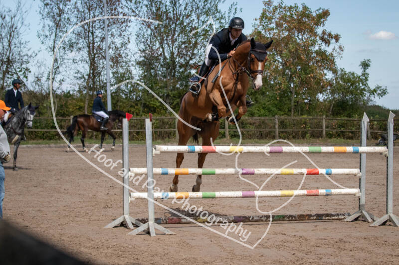 bouferterhaff-jumping-7-standard-c9p6zl.jpg