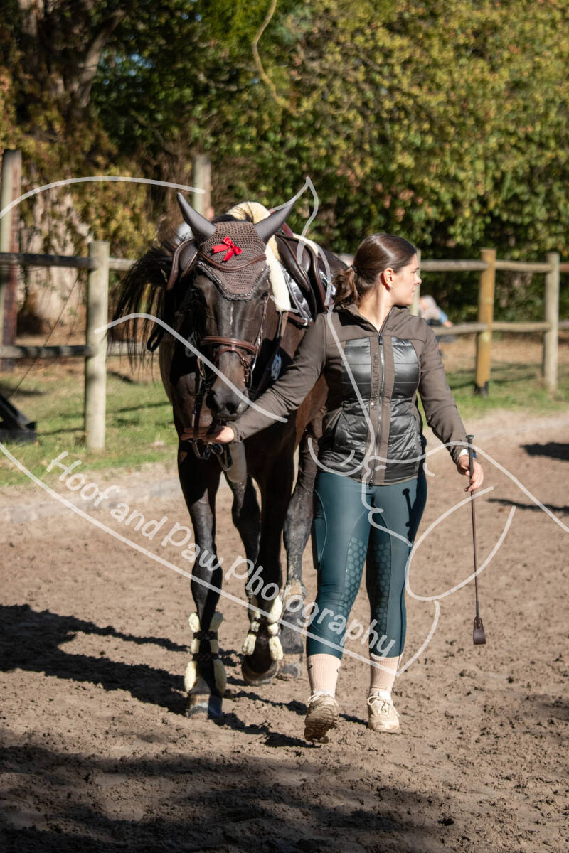 bouferterhaff-jumping-7-standard-e1h5x7.jpg
