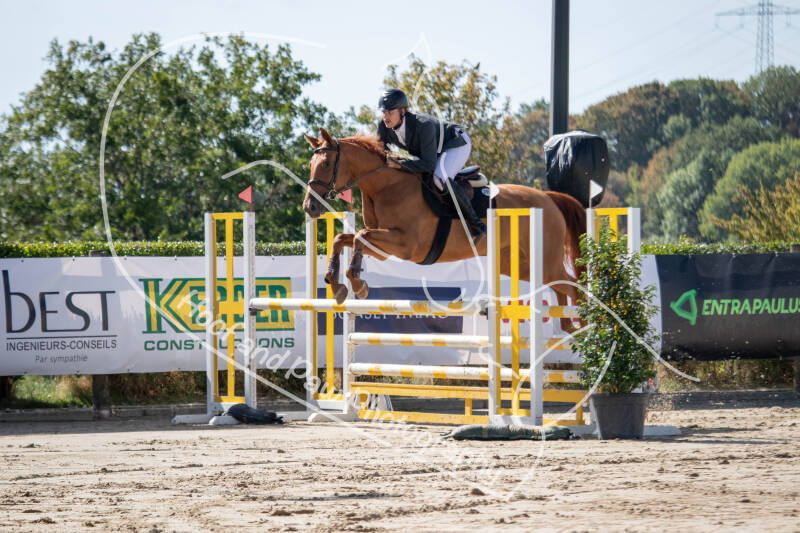 bouferterhaff-jumping-7-standard-jg900w.jpg