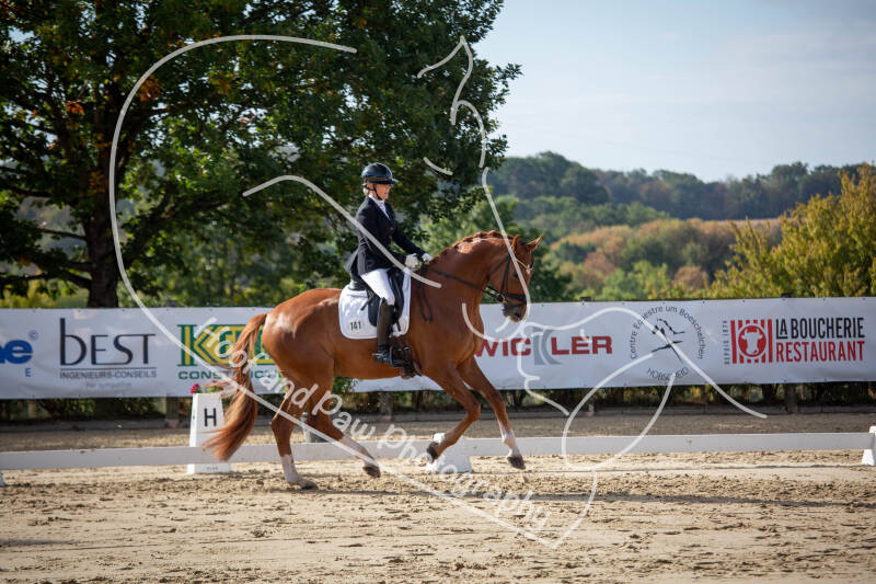 bouferterhaff-jumping-7-standard-swotju.jpg