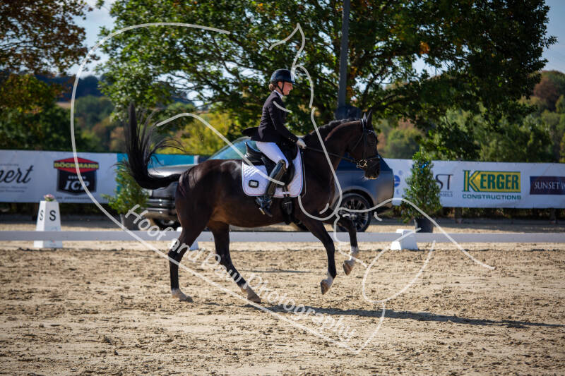 bouferterhaff-jumping-7-standard-tepf6v.jpg