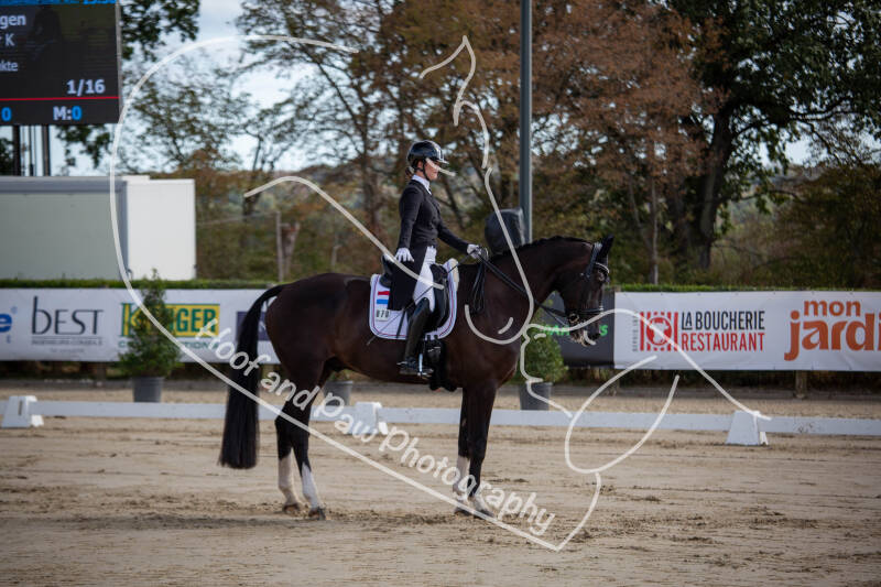bouferterhaff-jumping-7-standard-vby2im.jpg